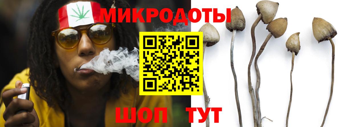 Псилоцибиновые грибы Psilocybe  Вход с VPN  Ликино-Дулёво  Галлюциногенные грибы мицелий 